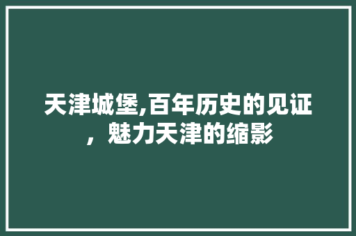 天津城堡,百年历史的见证，魅力天津的缩影