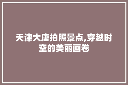 天津大唐拍照景点,穿越时空的美丽画卷