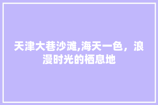 天津大巷沙滩,海天一色，浪漫时光的栖息地