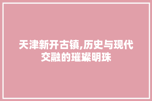 天津新开古镇,历史与现代交融的璀璨明珠