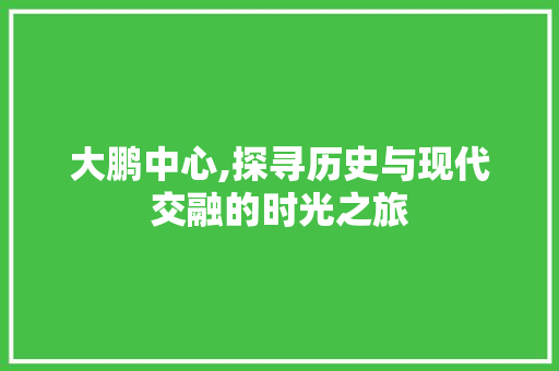 大鹏中心,探寻历史与现代交融的时光之旅