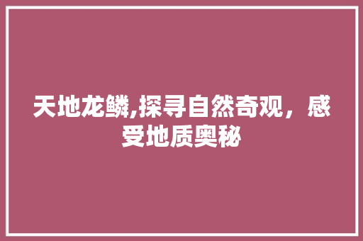 天地龙鳞,探寻自然奇观，感受地质奥秘