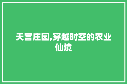 天宫庄园,穿越时空的农业仙境