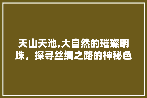 天山天池,大自然的璀璨明珠，探寻丝绸之路的神秘色彩