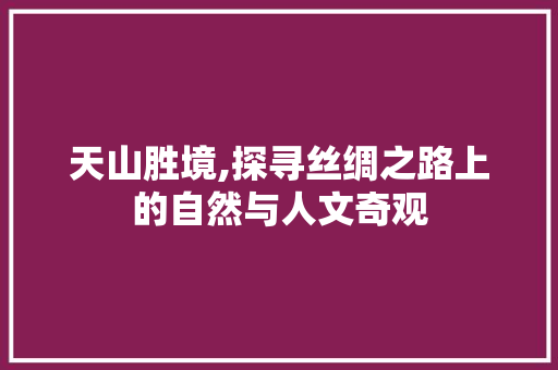 天山胜境,探寻丝绸之路上的自然与人文奇观