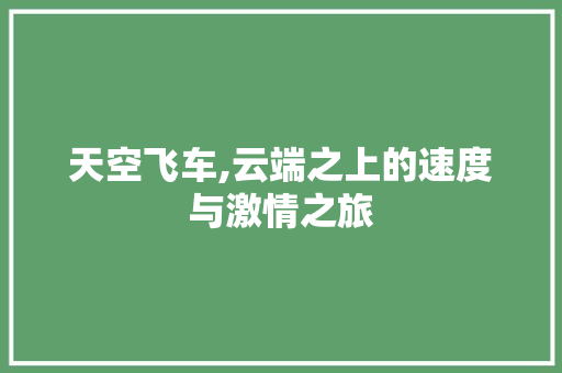 天空飞车,云端之上的速度与激情之旅