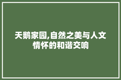 天鹅家园,自然之美与人文情怀的和谐交响