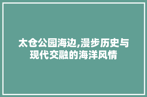 太仓公园海边,漫步历史与现代交融的海洋风情