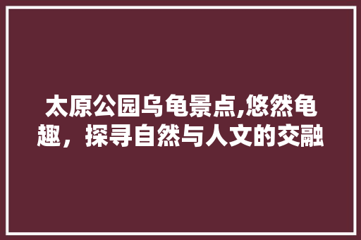 太原公园乌龟景点,悠然龟趣，探寻自然与人文的交融