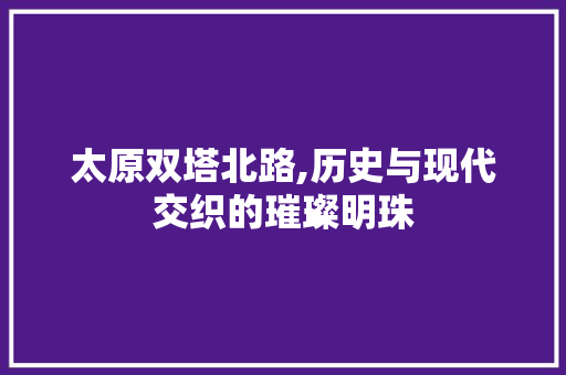 太原双塔北路,历史与现代交织的璀璨明珠