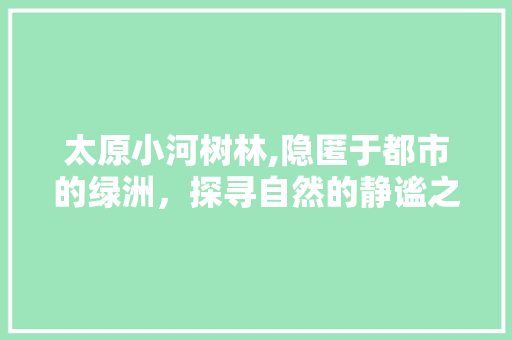 太原小河树林,隐匿于都市的绿洲，探寻自然的静谧之美