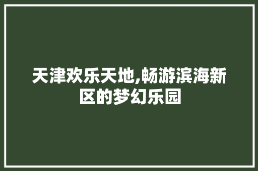 天津欢乐天地,畅游滨海新区的梦幻乐园