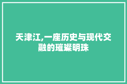 天津江,一座历史与现代交融的璀璨明珠  第1张