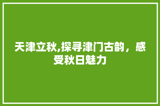 天津立秋,探寻津门古韵，感受秋日魅力