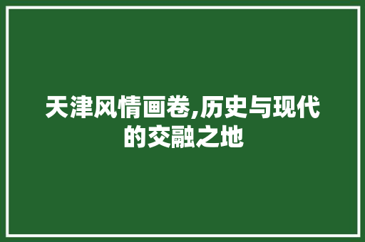 天津风情画卷,历史与现代的交融之地