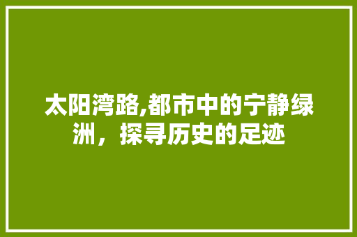 太阳湾路,都市中的宁静绿洲，探寻历史的足迹