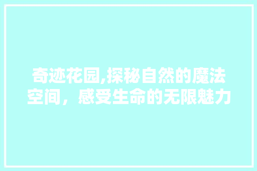 奇迹花园,探秘自然的魔法空间，感受生命的无限魅力