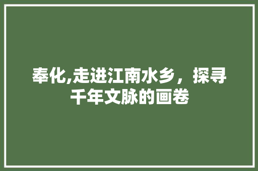 奉化,走进江南水乡，探寻千年文脉的画卷