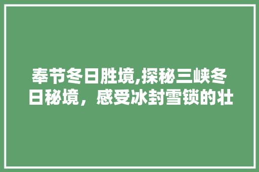 奉节冬日胜境,探秘三峡冬日秘境，感受冰封雪锁的壮美风光