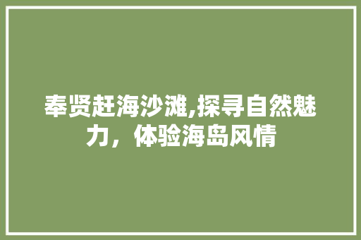 奉贤赶海沙滩,探寻自然魅力，体验海岛风情