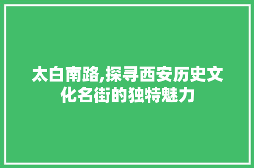 太白南路,探寻西安历史文化名街的独特魅力