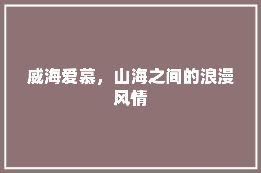 威海爱慕，山海之间的浪漫风情