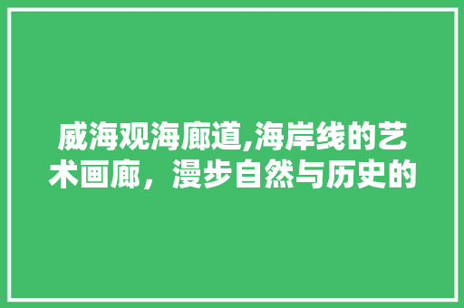 威海观海廊道,海岸线的艺术画廊，漫步自然与历史的交融