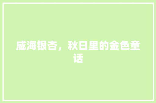 威海银杏，秋日里的金色童话