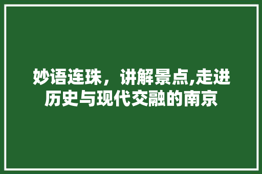 妙语连珠，讲解景点,走进历史与现代交融的南京