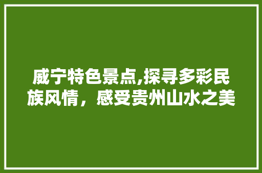 威宁特色景点,探寻多彩民族风情，感受贵州山水之美