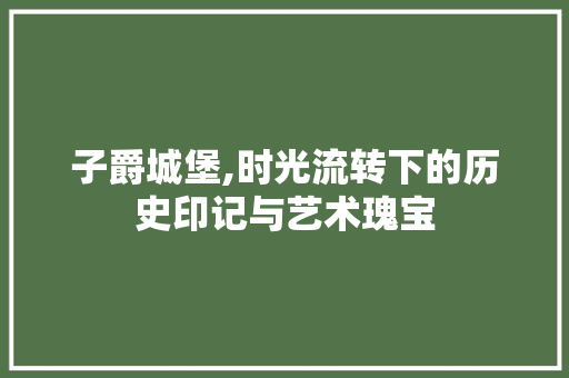 子爵城堡,时光流转下的历史印记与艺术瑰宝