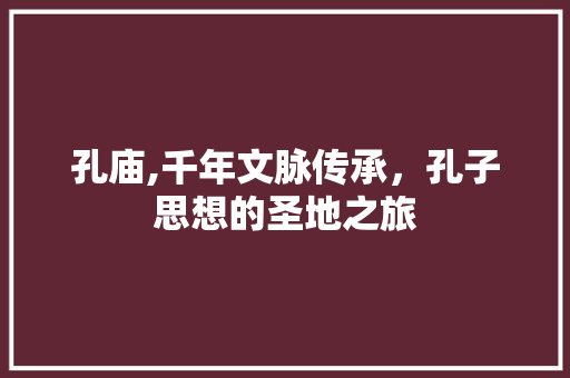 孔庙,千年文脉传承，孔子思想的圣地之旅