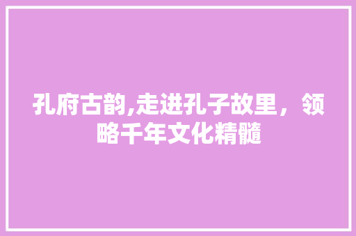 孔府古韵,走进孔子故里，领略千年文化精髓