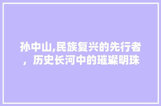 孙中山,民族复兴的先行者，历史长河中的璀璨明珠