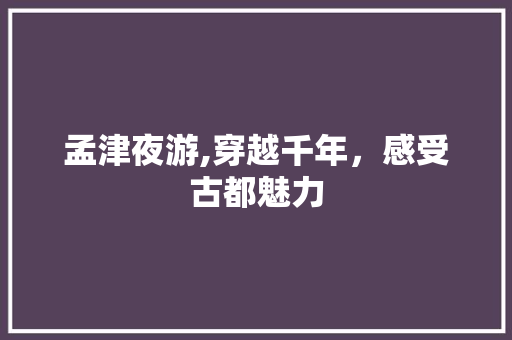 孟津夜游,穿越千年，感受古都魅力