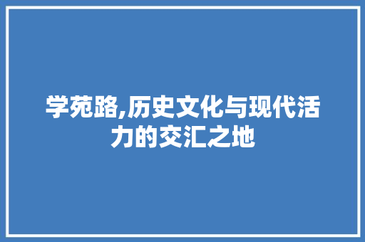 学苑路,历史文化与现代活力的交汇之地