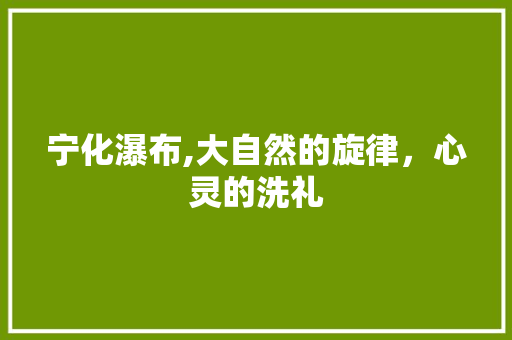 宁化瀑布,大自然的旋律，心灵的洗礼