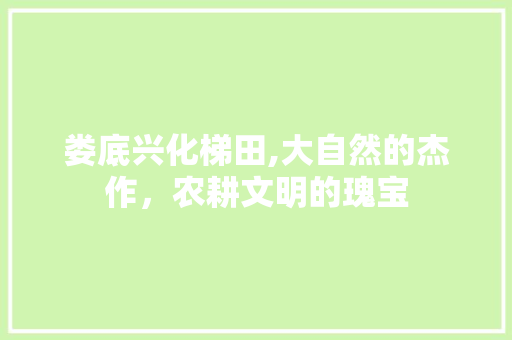 娄底兴化梯田,大自然的杰作，农耕文明的瑰宝