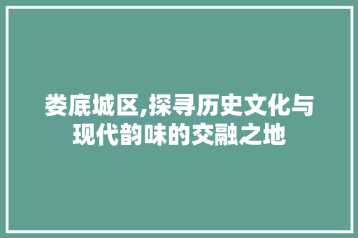 娄底城区,探寻历史文化与现代韵味的交融之地