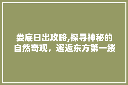 娄底日出攻略,探寻神秘的自然奇观，邂逅东方第一缕阳光