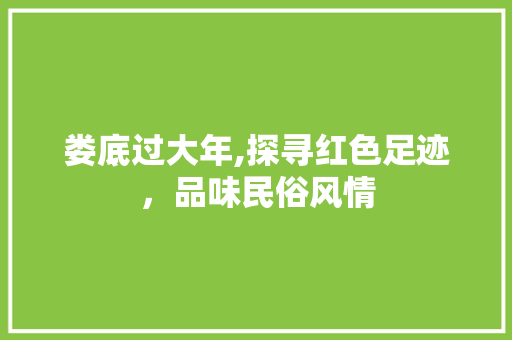 娄底过大年,探寻红色足迹，品味民俗风情