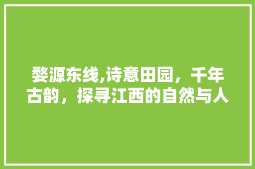 婺源东线,诗意田园，千年古韵，探寻江西的自然与人文奇观  第1张