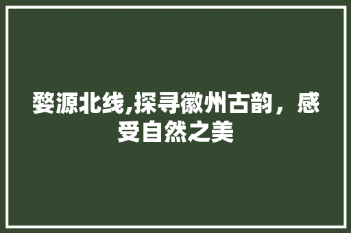 婺源北线,探寻徽州古韵，感受自然之美  第1张