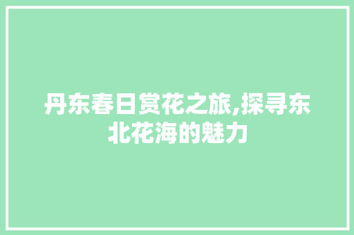 丹东春日赏花之旅,探寻东北花海的魅力