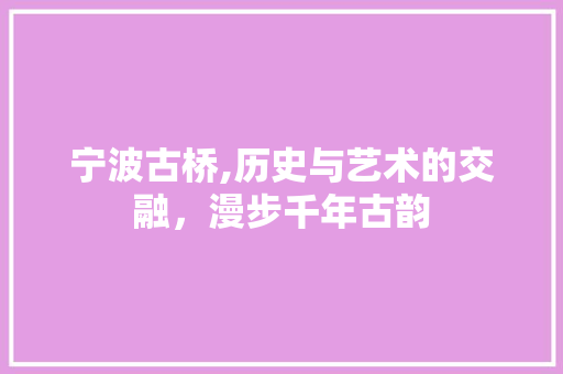 宁波古桥,历史与艺术的交融，漫步千年古韵