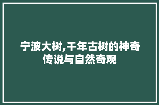 宁波大树,千年古树的神奇传说与自然奇观