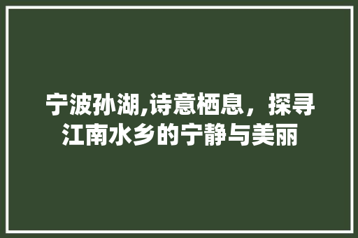 宁波孙湖,诗意栖息，探寻江南水乡的宁静与美丽