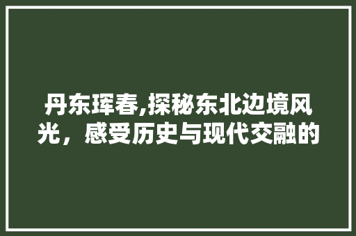 丹东珲春,探秘东北边境风光，感受历史与现代交融的魅力