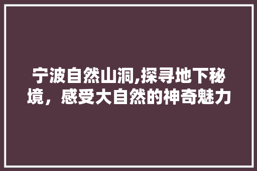 宁波自然山洞,探寻地下秘境，感受大自然的神奇魅力