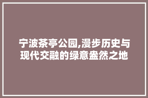 宁波茶亭公园,漫步历史与现代交融的绿意盎然之地